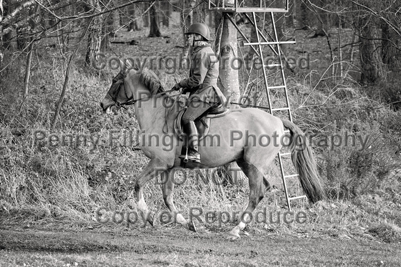 Grove_and_Rufford_Ride_Thoresby_24th_Feb_2024_063