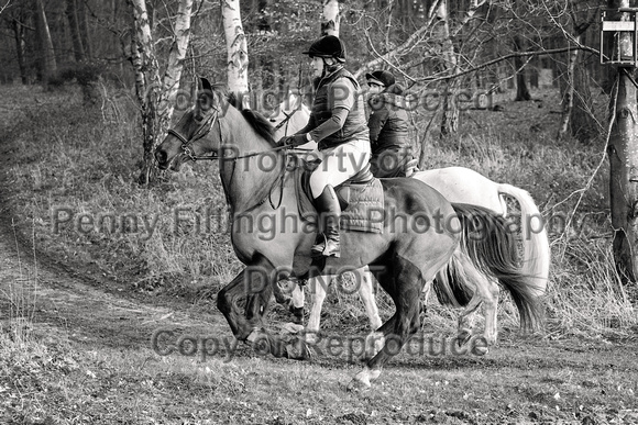 Grove_and_Rufford_Ride_Thoresby_24th_Feb_2024_077