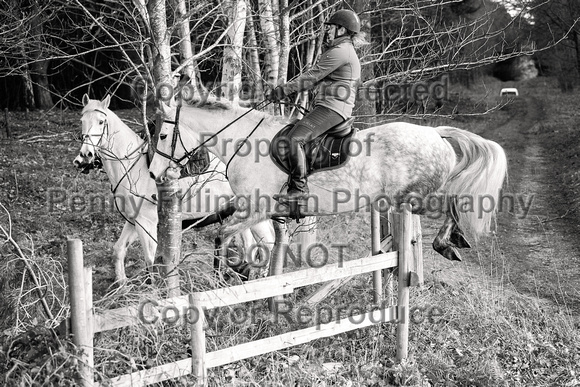 Grove_and_Rufford_Ride_Thoresby_24th_Feb_2024_087