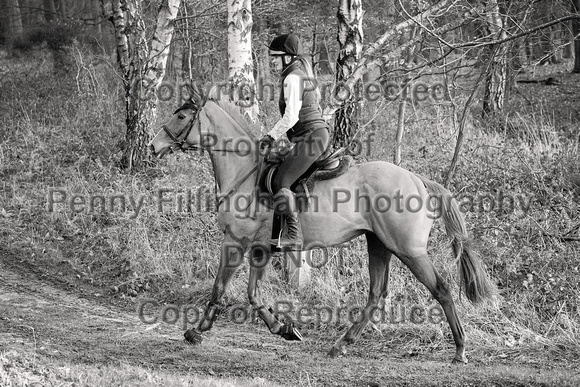 Grove_and_Rufford_Ride_Thoresby_24th_Feb_2024_104