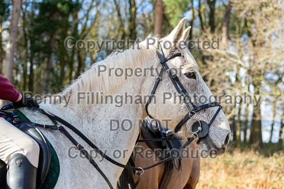Grove_and_Rufford_Ride_Thoresby_24th_Feb_2024_174