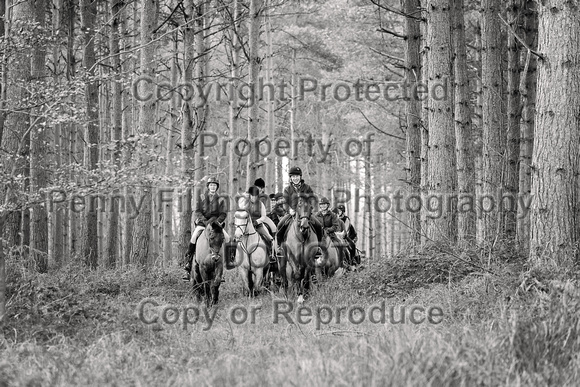 Grove_and_Rufford_Ride_Thoresby_24th_Feb_2024_129