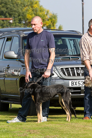 DL&LD_South_Wingfield_Lurchers_4th_Oct_2015_022