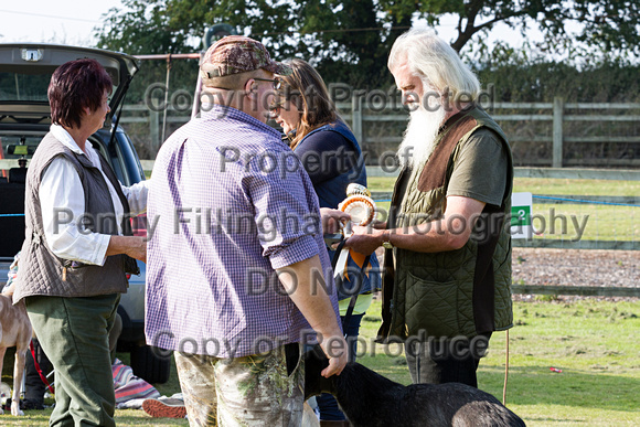 DL&LD_South_Wingfield_Lurchers_4th_Oct_2015_156