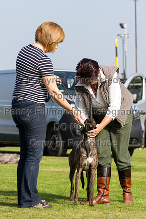 DL&LD_South_Wingfield_Lurchers_4th_Oct_2015_085