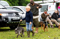 Ecclesfield_Beagles_Terrier_and_Lurcher_Show_CH_13th_June_2015_007