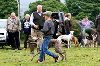 Ecclesfield_Beagles_Terrier_and_Lurcher_Show_CH_13th_June_2015_001