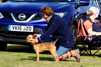 DL&LD_South_Wingfield_Terriers_4th_Oct_2015_008