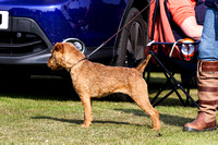 DL&LD_South_Wingfield_Terriers_4th_Oct_2015_007