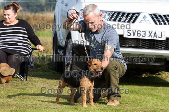 DL&LD_South_Wingfield_Terriers_4th_Oct_2015_003