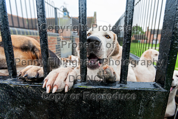 Quorn_Kennels_28th_Oct_2016_018