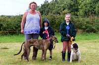 Grove_and_Rufford_Show_Winners_19th_July_2014.001