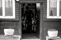 South_Notts_Hound_Exercise_Kennels_5th_Oct_2024_006