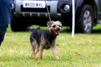 Grove_and_Rufford_Show_Terriers_19th_July_2014.009