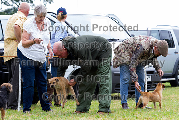 Grove_and_Rufford_Show_Terriers_19th_July_2014.011