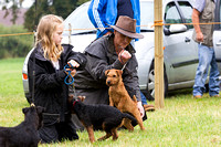 Grove_and_Rufford_Show_Terriers_19th_July_2014.004