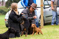 Grove_and_Rufford_Show_Terriers_19th_July_2014.003