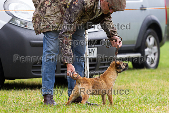 Grove_and_Rufford_Show_Terriers_19th_July_2014.013