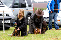 Grove_and_Rufford_Show_Terriers_19th_July_2014.006