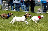 Burghley_Game_Fair_Racing_27th_May_2013_.020