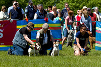 Burghley_Game_Fair_Racing_27th_May_2013_.010