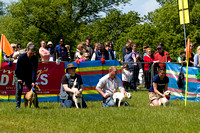 Burghley_Game_Fair_Racing_27th_May_2013_.002