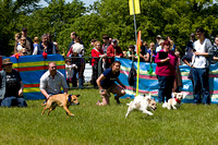 Burghley_Game_Fair_Racing_27th_May_2013_.004