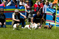 Burghley_Game_Fair_Racing_27th_May_2013_.013