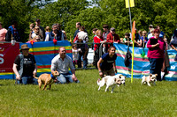 Burghley_Game_Fair_Racing_27th_May_2013_.003