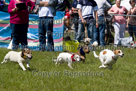 Burghley_Game_Fair_Racing_27th_May_2013_.017