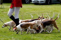 Althorp_House_Hound_Parade_5th_May_2013_.002