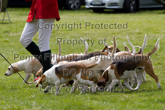 Althorp_House_Hound_Parade_5th_May_2013_.002