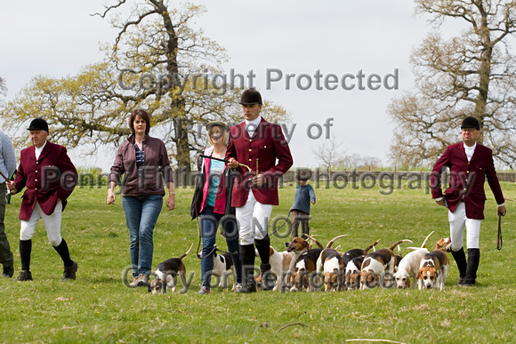 Althorp_House_Hound_Parade_5th_May_2013_.010