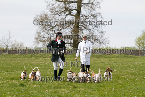 Althorp_House_Hound_Parade_5th_May_2013_.018