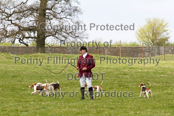 Althorp_House_Hound_Parade_5th_May_2013_.007