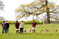 Althorp_House_Hound_Parade_5th_May_2013_.001