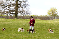 Althorp_House_Hound_Parade_5th_May_2013_.006