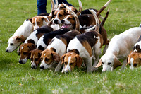 Althorp_House_Hound_Parade_5th_May_2013_.013