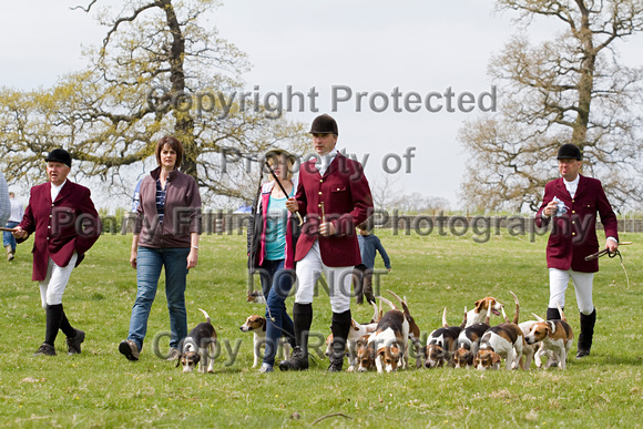 Althorp_House_Hound_Parade_5th_May_2013_.009