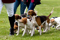 Althorp_House_Hound_Parade_5th_May_2013_.012