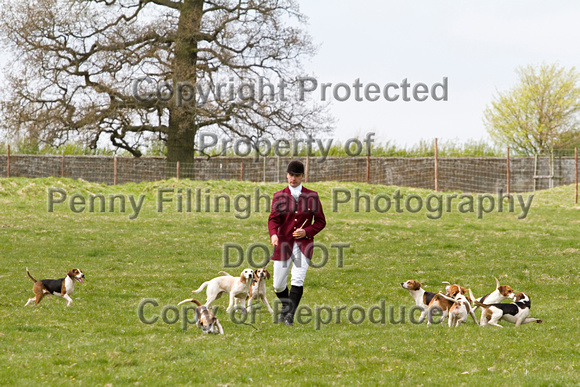 Althorp_House_Hound_Parade_5th_May_2013_.005