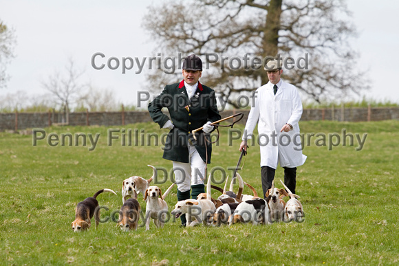 Althorp_House_Hound_Parade_5th_May_2013_.019