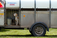 Althorp_House_Hound_Parade_5th_May_2013_.017