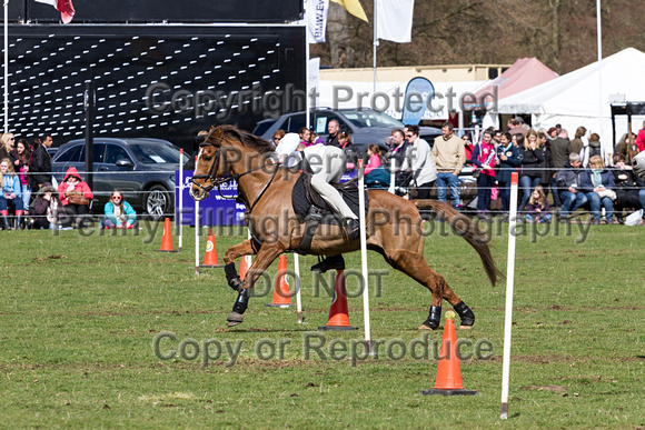 Belton_Horse_Trials_17th_April_2016_256