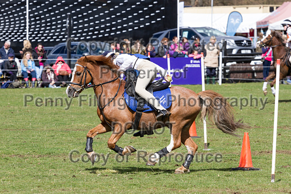 Belton_Horse_Trials_17th_April_2016_260