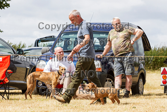 Grove_and_Rufford_Show_Terriers_18th_July_2015_018