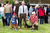 Meynell and South Staffs Hunt Terrier and Lurcher Show, Winners (21st June 2015)