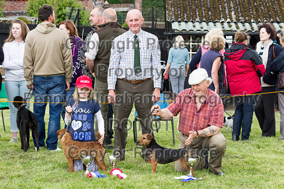 MSSH_Terrier_and_Lurcher_Show_Winners_21st_June_2015_008