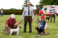 MSSH_Terrier_and_Lurcher_Show_Winners_21st_June_2015_003