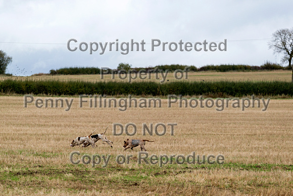 Quorn_Opening_Meet_Kennels_20th_Oct_2017_1036